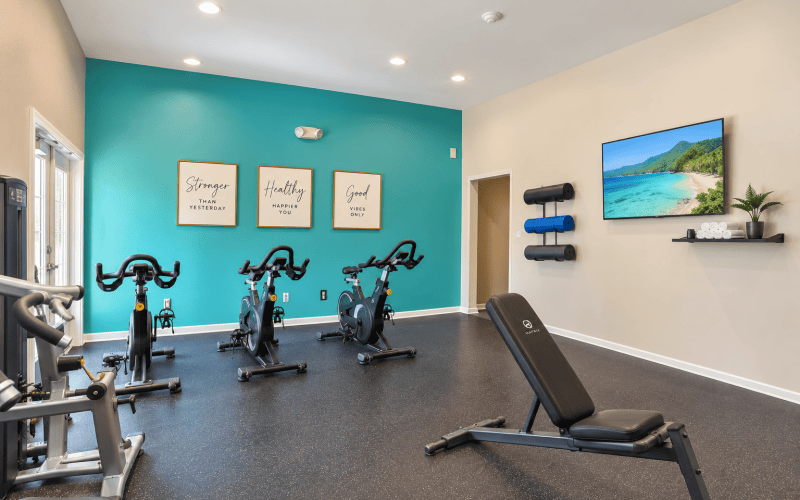 Cycle Studio